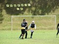 Tn dsc 1137
